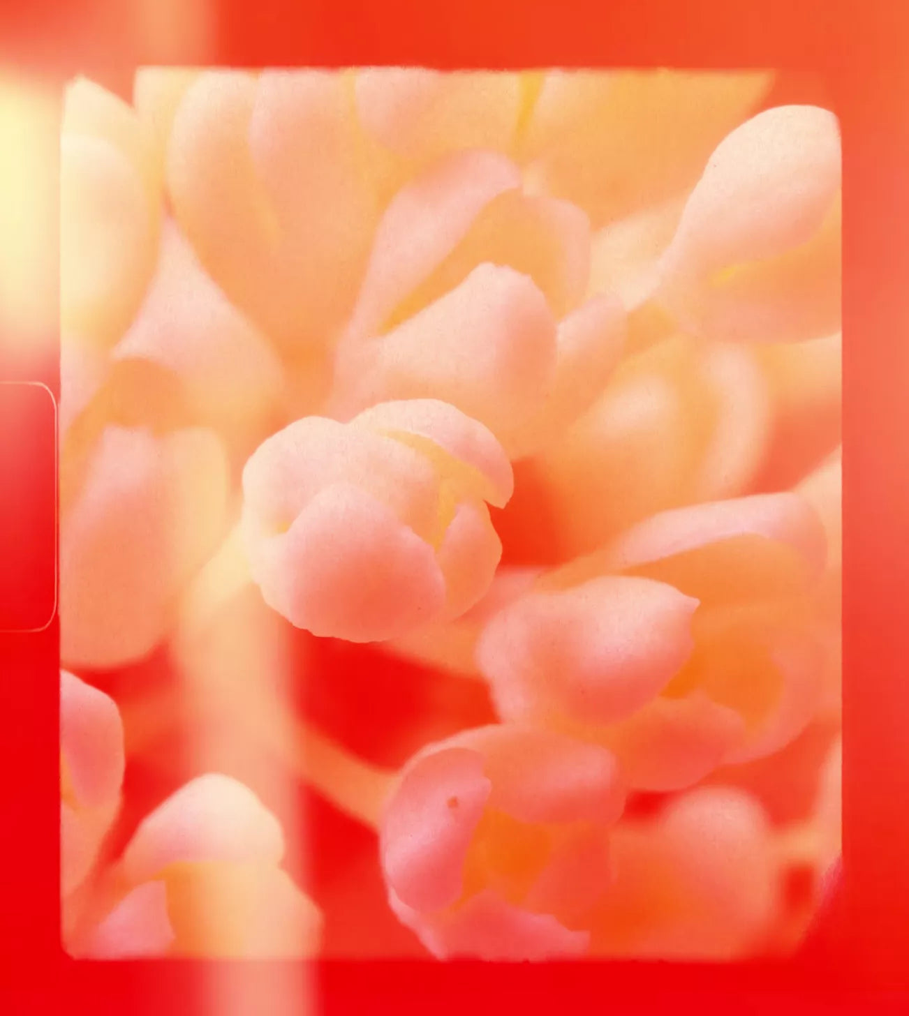 videowise-widget-67f3f214531b2b00577c16d7-9360631202101